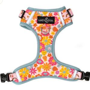 Lucy & Co Y2K Dog Harness